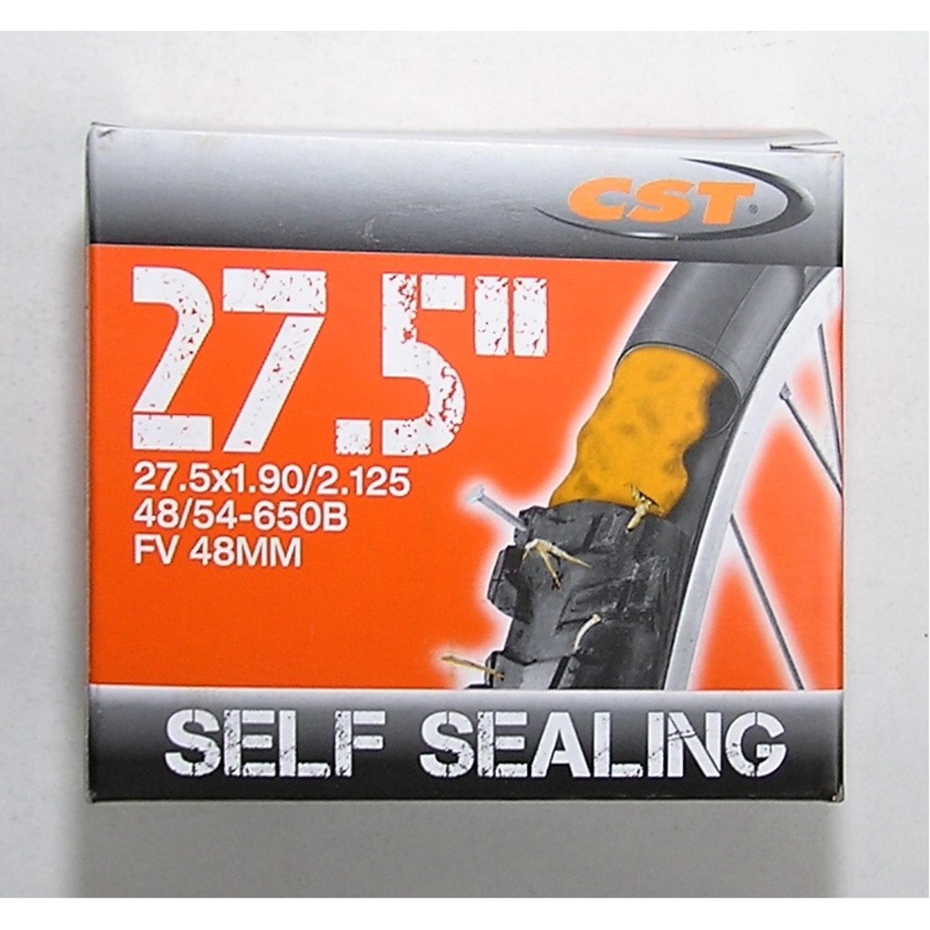 CST 27,5x1,9/2,125 FV 48 mm Self Sealing