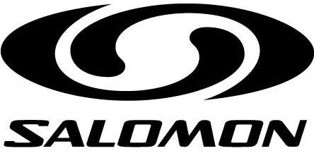 salomon logo